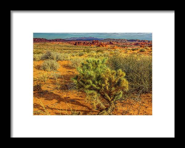 Landscape Framed Print featuring the photograph La Cholla by Stephen Campbell