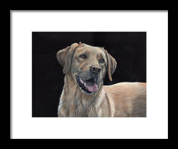 Labrador Framed Print featuring the painting Labrador Portrait by John Neeve