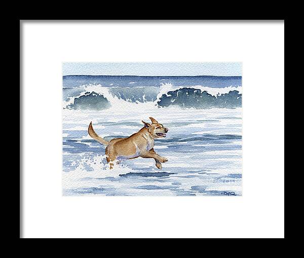 Labrador Framed Print featuring the painting Labrador Retriever at the Beach by David Rogers