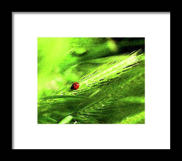 Ladybug Framed Print featuring the digital art Ladybug by Timothy Bulone