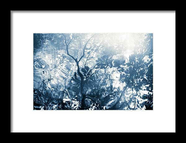 Nature Framed Print featuring the photograph Lago De La Luz by Dorit Fuhg