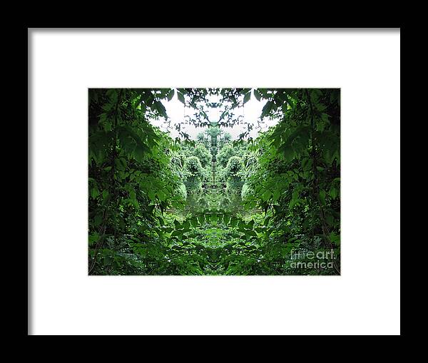 Abstract Landscapes Framed Print featuring the photograph Lagoon Creatures by Roxy Riou