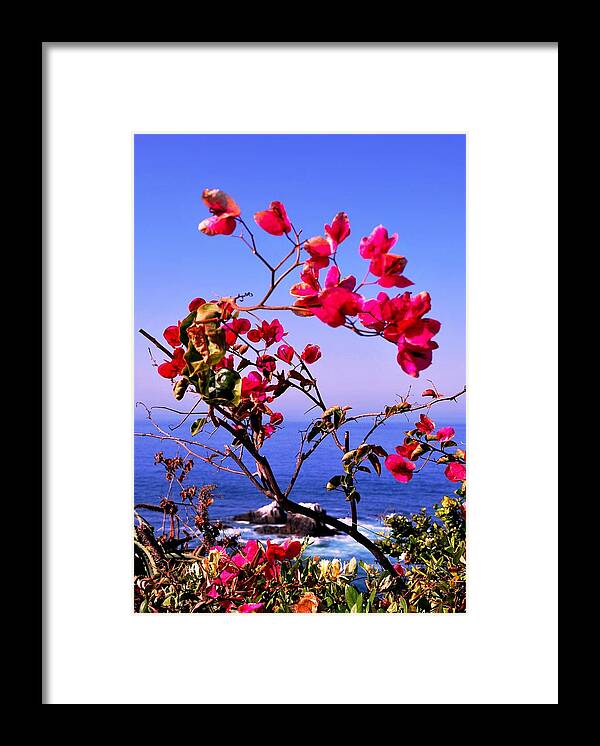 Laguna Framed Print featuring the photograph Laguna Red Flowers Overlook by Matt Quest