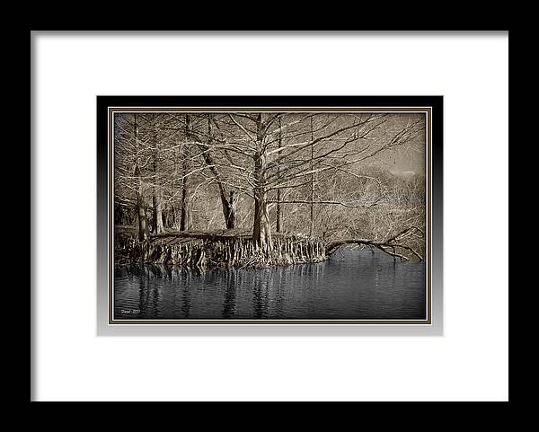 Lake Framed Print featuring the photograph Lake Alice by Farol Tomson