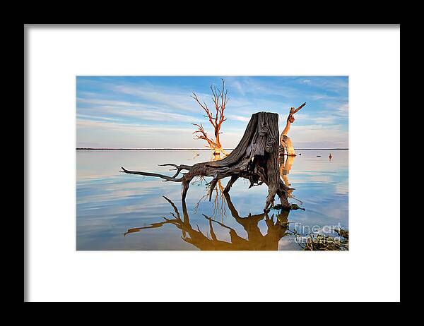 Lake Bonney At Daybreak Riverland South Australia Tree Silhouettes Framed Print featuring the photograph Lake Bonney at Daybreak by Bill Robinson