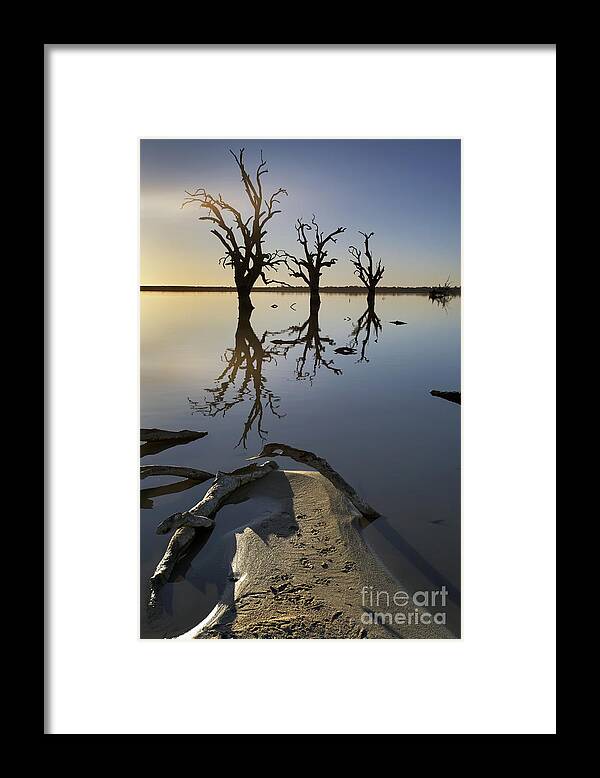 Lake Bonney Barmera Riverland South Australia Dead Drowned Gum Trees Sand Bar Fresh Water Reflections Early Morning Framed Print featuring the photograph Lake Bonney Barmera Riverland South Australia by Bill Robinson