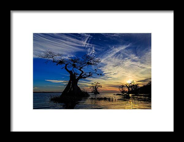 Florida Framed Print featuring the photograph Lake Disston Sunset by Stefan Mazzola