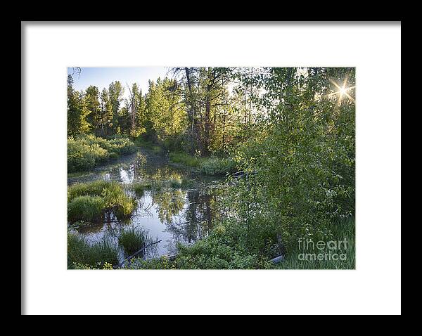 Idaho Framed Print featuring the photograph Lake Fork Creek by Idaho Scenic Images Linda Lantzy