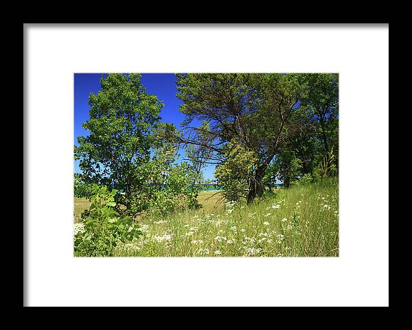 Tree Framed Print featuring the photograph Lake Michigan Through the Trees by Scott Kingery