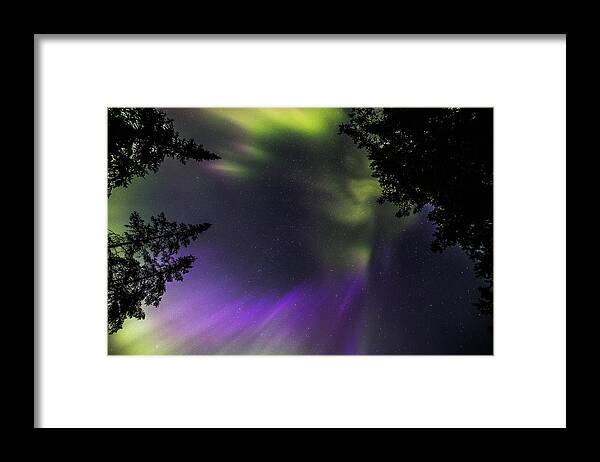 Astrophotography Framed Print featuring the photograph Lake of the Woods Summer Aurora - Looking Up 01 by Jakub Sisak