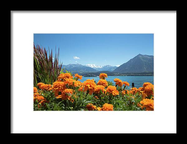 Lake Framed Print featuring the photograph Lake Thunersee by Andy Myatt