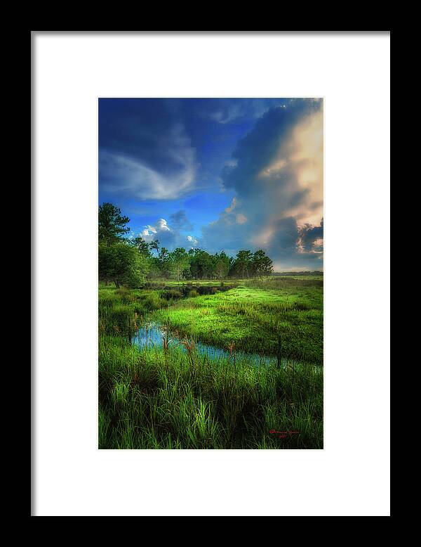 Bartow Framed Print featuring the photograph Land Of Milk And Honey by Marvin Spates