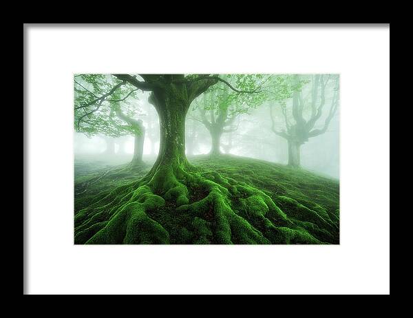 Roots Framed Print featuring the photograph Land of roots by Mikel Martinez de Osaba