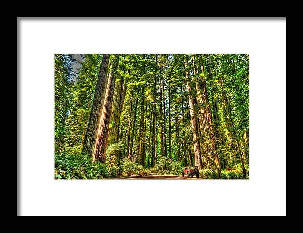 Photograph Framed Print featuring the photograph Land of the Giants by Richard Gehlbach