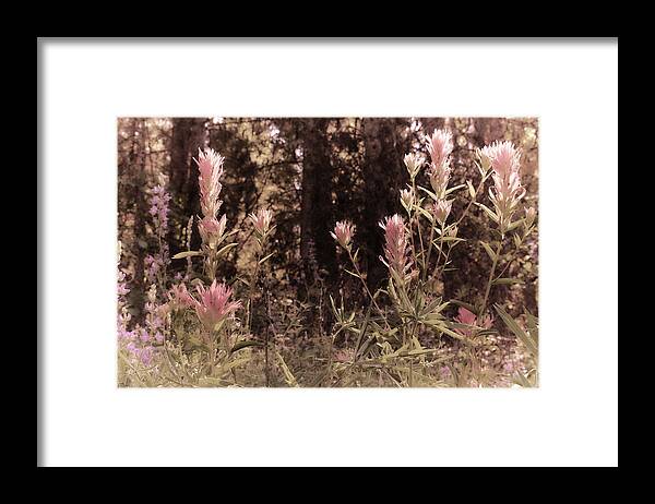 Landscape Framed Print featuring the photograph Landscape3 by Loni Collins