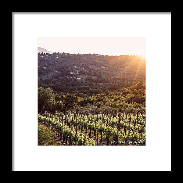 Terredellupo Framed Print featuring the photograph #lapio: Where #fiano #wine Came #true by Vincenzo Garofalo