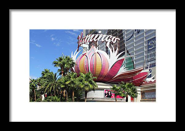 Las Vegas Flamingo Hotel Lotus Blossom Framed Print By Linda Phelps