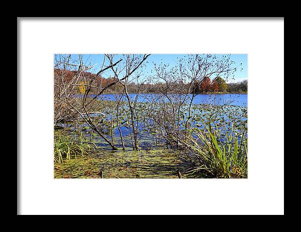 Autumn Framed Print featuring the photograph Last Days of Autumn by Scott Kingery