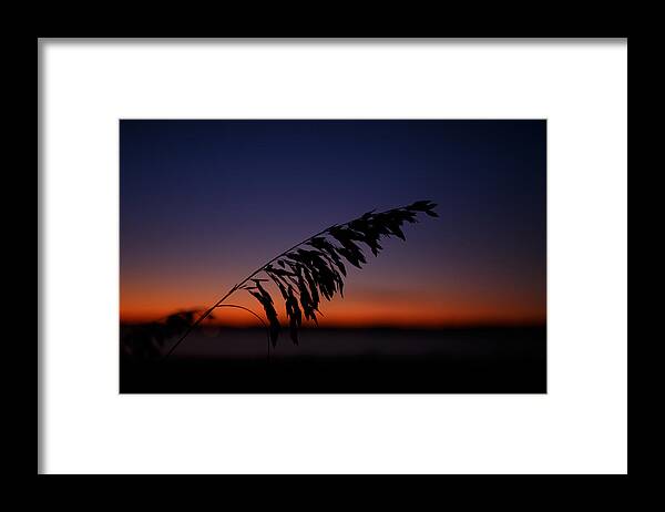 Hilton Head Island Framed Print featuring the photograph last light at Hilton Head Island by Shane Holsclaw