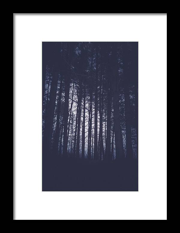 Light Framed Print featuring the photograph Last Light In The Forest by Shane Holsclaw