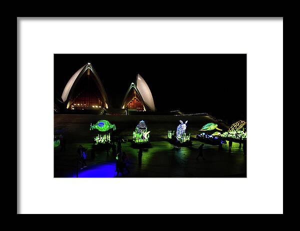 Animals Framed Print featuring the photograph Last Stand At Opera House For Our Wildlife 1 by Miroslava Jurcik