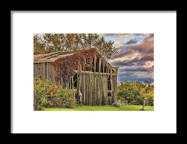 Barn Framed Print featuring the photograph Late Afternoon At The Barn by Cathy Kovarik