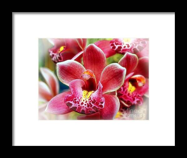 Orchid Framed Print featuring the photograph Laughing Orchids by Sue Melvin