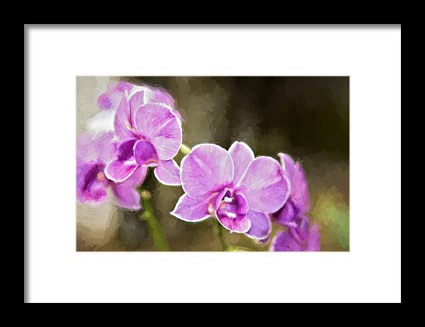 Beautiful Framed Print featuring the photograph Lavendar Orchids by Lana Trussell