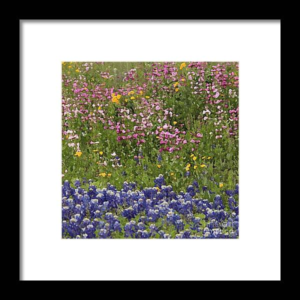 Flower Metal Print Framed Print featuring the photograph Lavender Blue by Joe Pratt