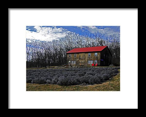 Lavender Framed Print featuring the photograph Lavender Farm by Elsa Santoro