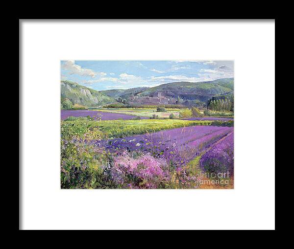 Field; South Of France; French Landscape; Hills; Hill; Landscape; Flower; Flowers Framed Print featuring the painting Lavender Fields in Old Provence by Timothy Easton