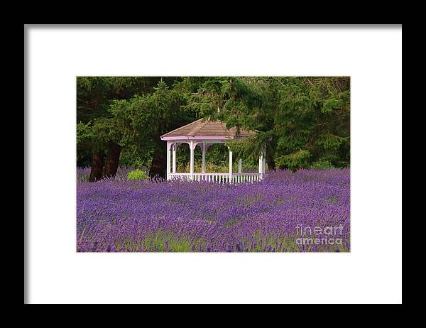 Gazebo Framed Print featuring the photograph Lavender Gazebo by Louise Magno