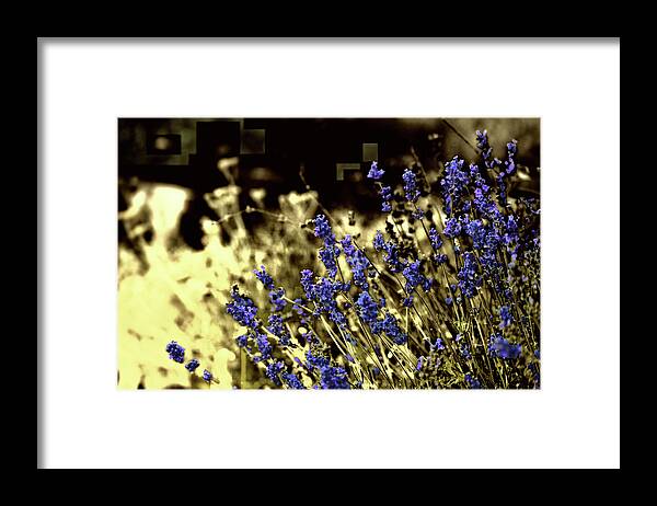 Purple Framed Print featuring the photograph Lavender Yellow by April Burton