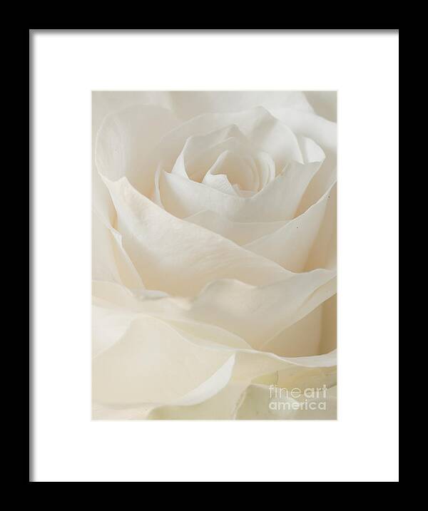 Anniversary Framed Print featuring the photograph Layers In White by Greg Summers