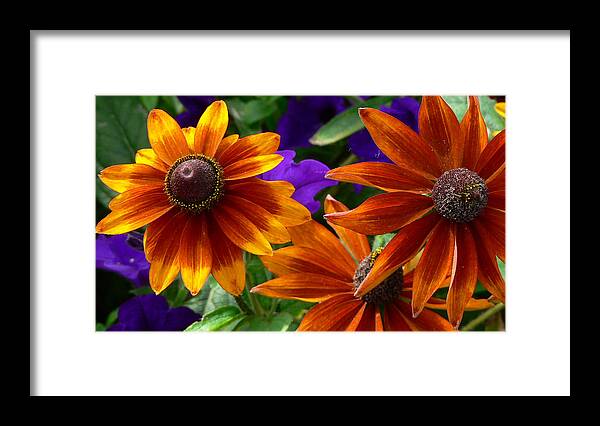 Flowers Framed Print featuring the photograph Layers of Color by Larry Keahey