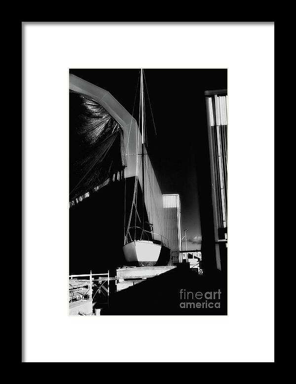 Black And White Framed Print featuring the photograph Laying in Wait by Lauren Leigh Hunter Fine Art Photography