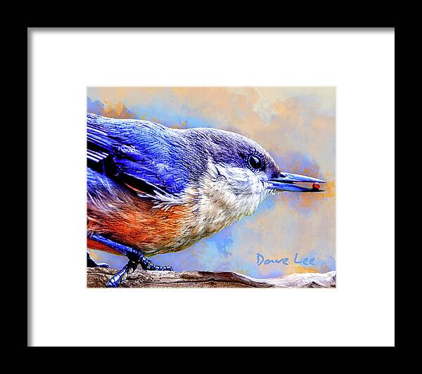 Bluebird Framed Print featuring the mixed media Leader of the Peck by Dave Lee