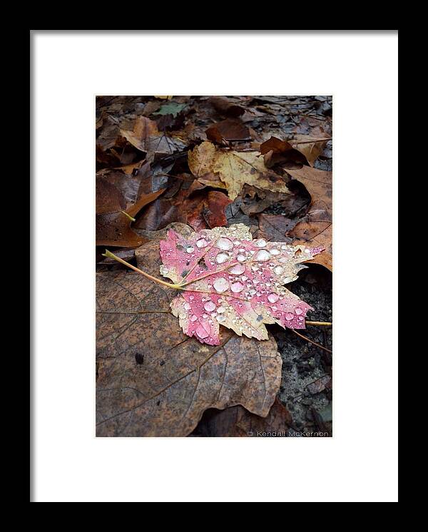  Framed Print featuring the photograph Leaf Bling by Kendall McKernon