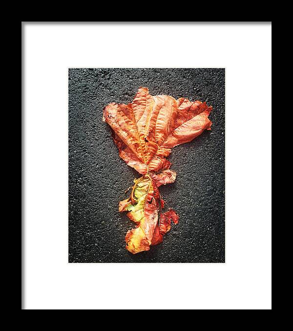  Framed Print featuring the digital art Leaf on asphalt by Olivier Calas