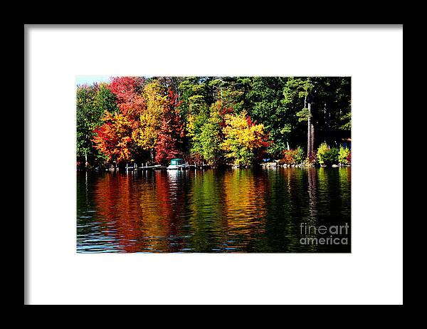 Foliage Framed Print featuring the photograph Leaf Peeping by Mary Capriole