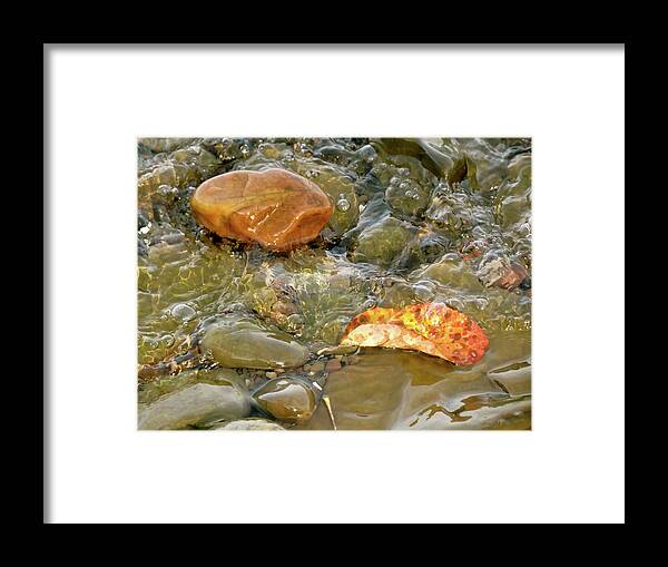 Rock Framed Print featuring the photograph Leaf, Rock Leaf by Azthet Photography