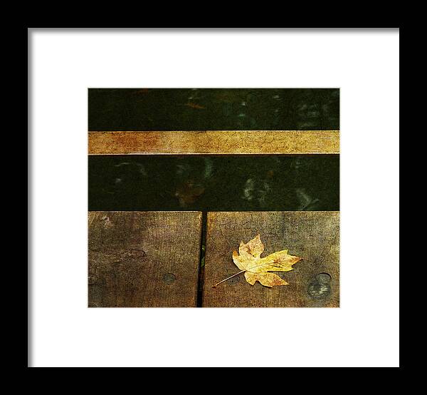 Fall Framed Print featuring the photograph Leaf Zen K by Rebecca Cozart