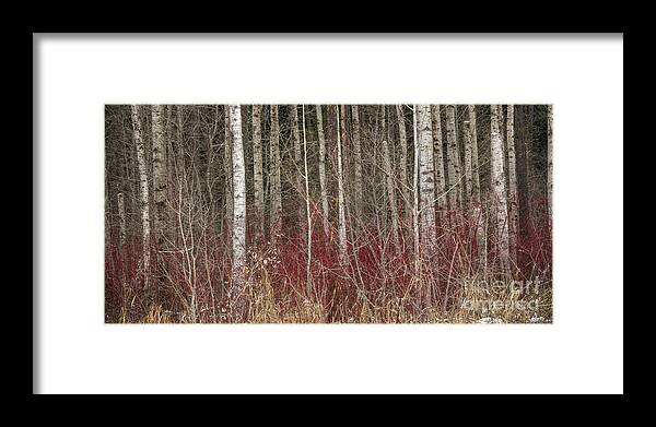 Trees Framed Print featuring the photograph Leafless Color by Idaho Scenic Images Linda Lantzy