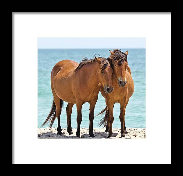 Wild Ponies Framed Print featuring the photograph Lean on Me by Scott Miller