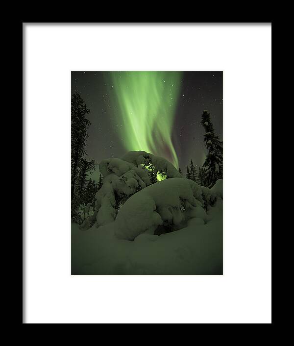 Alaska Framed Print featuring the photograph Leaning Spruce Aurora by Ian Johnson