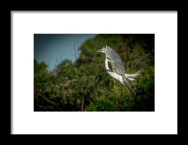 White Framed Print featuring the photograph Leap Of Faith by Marvin Spates