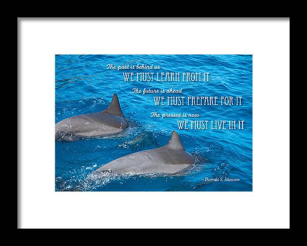 Dolphins Framed Print featuring the photograph Learn Prepare Live by Denise Bird