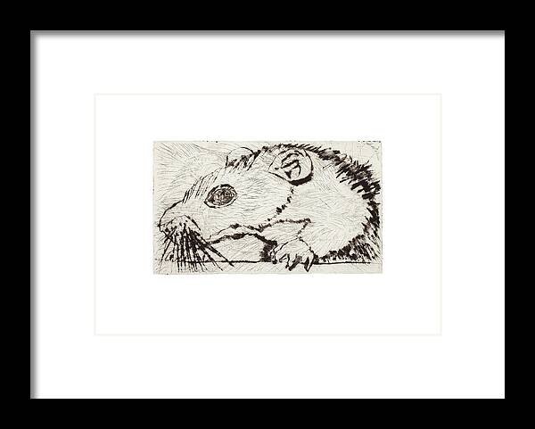  Framed Print featuring the mixed media Learning to Love Rats More #4 by Dawn Boswell Burke