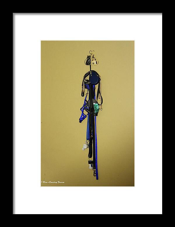 Leash Lady Just Hanging On The Wall Framed Print featuring the digital art Leash Lady Just Hanging On The Wall by Tom Janca