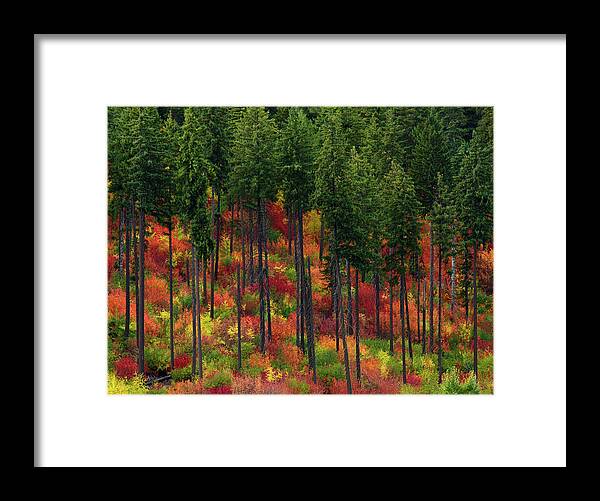 Fall Framed Print featuring the photograph Leavenworth Checkerboard by Dan Mihai
